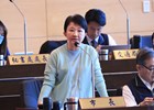 市議會市政總質詢--TSAI (25)