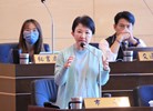 市議會市政總質詢--TSAI (33)