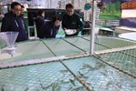 盧市長關心櫻花鉤吻鮭保育成效--TSAI (50)