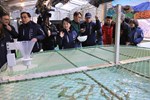 盧市長關心櫻花鉤吻鮭保育成效--TSAI (57)