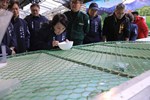 盧市長關心櫻花鉤吻鮭保育成效--TSAI (60)