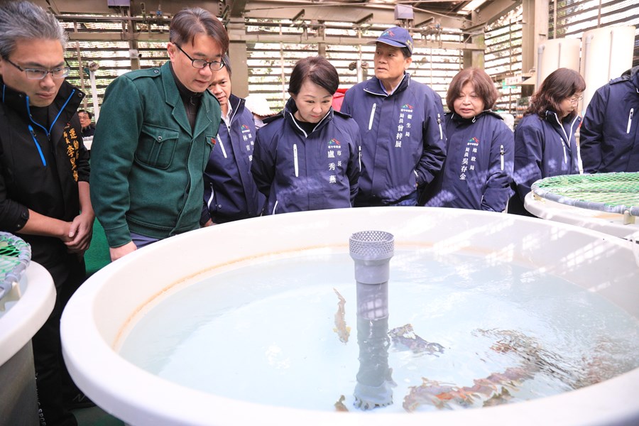 盧市長關心櫻花鉤吻鮭保育成效--TSAI (70)