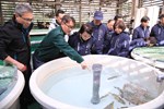 盧市長關心櫻花鉤吻鮭保育成效--TSAI (72)