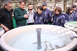 盧市長關心櫻花鉤吻鮭保育成效--TSAI (73)