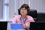 台中市113年第1次災害防救專家諮詢委員會議--TSAI (7)