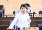 市政總質詢--TSAI (7)