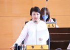 市政總質詢--TSAI (14)