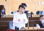 市政總質詢--TSAI (33)