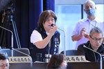 市政總質詢--TSAI (38)