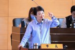 台中市議會第4屆第3次定期會市政總質詢 (2)