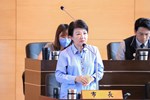台中市議會第4屆第3次定期會市政總質詢 (30)