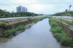 凱米颱風來襲 市長視察海線重大水利防洪工程 (南山截水溝) (11)