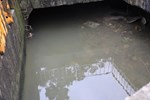 市長視察沙鹿淹水地區 (9)