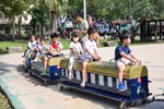 台中通親子同樂野餐趣