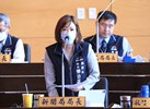 台中市議會第四屆第四次定期會市政總質詢--TSAI (2)