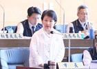 市政總質詢--TSAI  (1)