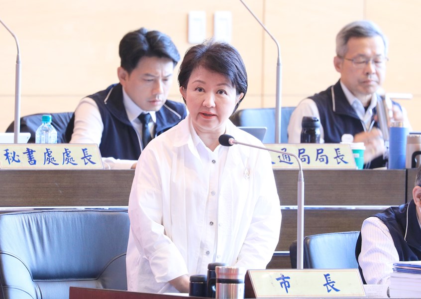 市政總質詢--TSAI  (1)