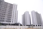 北屯巨蛋二期好宅工程動土典禮--TSAI (3)