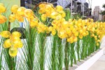 「種下希望  榮耀台中」113年度施政六週年成果記者會--TSAI (4)