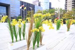 「種下希望  榮耀台中」113年度施政六週年成果記者會--TSAI (22)