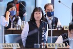 114年台中市議會第4屆第5次定期會--TSAI (8)