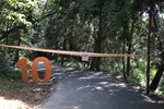 視察大坑10號登山步道災損情形--TSAI (13)