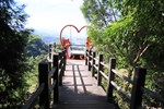大坑登山步道一景