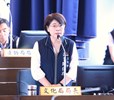 114年台中市議會第4屆第6次定期會第3次會議--TSAI (10)