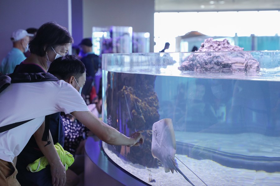 台中海洋館開幕典禮