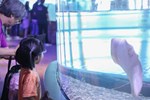 台中海洋館開幕典禮