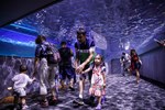 台中海洋館開幕典禮