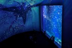 台中海洋館開幕典禮