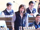 台中市議會第4屆第6次定期會市政總質詢--TSAI (8)