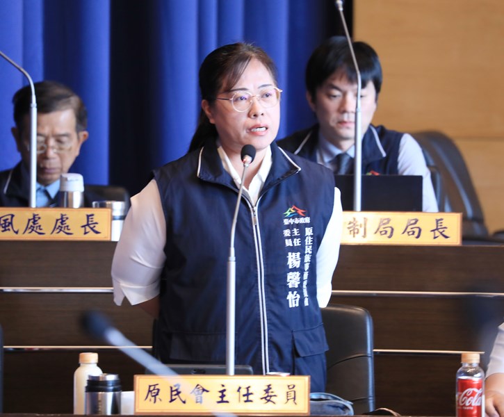 台中市議會第4屆第6次定期會市政總質詢--TSAI (11)