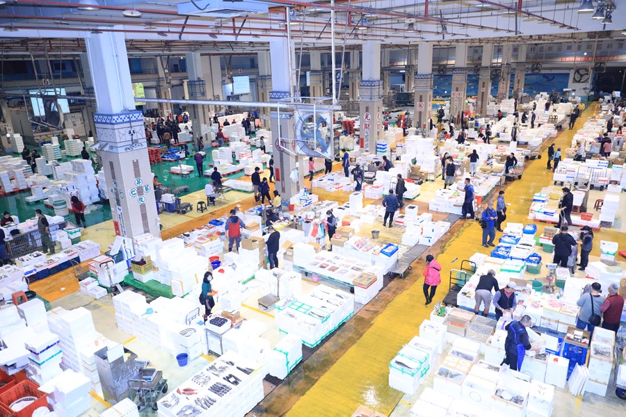 盧市長春節前視察魚市場--TSAI (4)