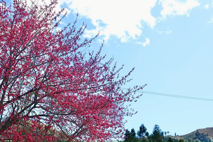 和平專案--盧市長慰問德基派出所 (5)