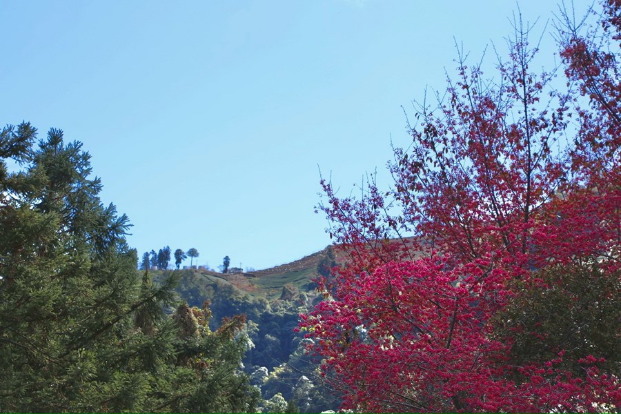 和平專案--盧市長慰問德基派出所 (6)