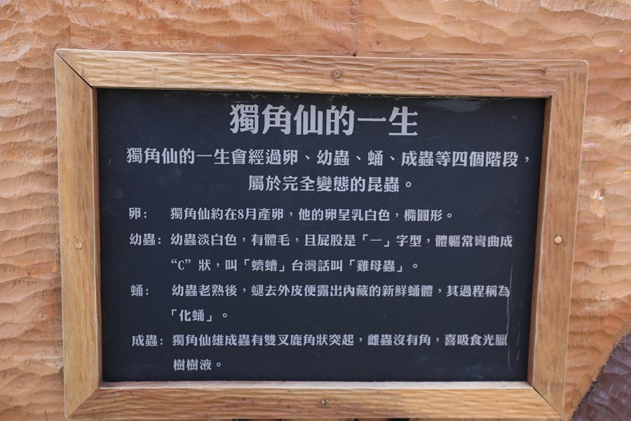 東勢「獨角仙生態公園」完工典禮--TSAI (17)