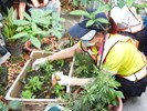 臺中NO鼠‧全市大掃除市長視察南屯里活動中心