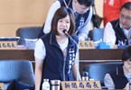 台中市議會第4屆第8次定期會市政總質詢--TSAI (3)