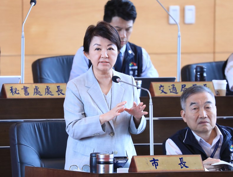 台中市議會第4屆第8次定期會市政總質詢--TSAI (3)