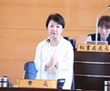 台中市議會第4屆第8次定期會市政總質詢--TSAI (2)