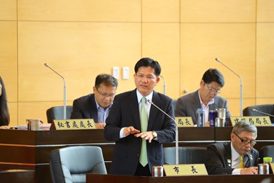 議會總諮詢
