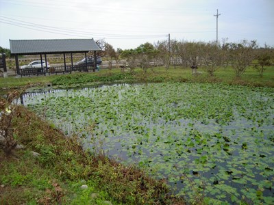 探索湧泉文化與經濟價值  中市府建立基礎資料庫