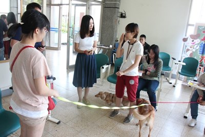了解寵物行為    3、4期犬隻行為訓練課程開放報名