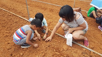 體驗田園樂    教育局辦親子食農教育營