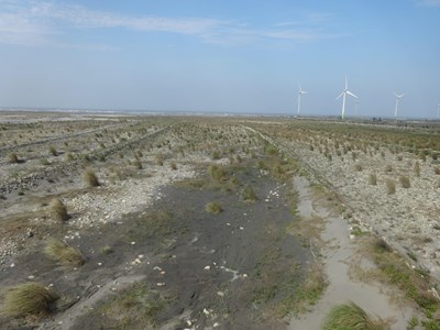 減少河川揚塵空汙  中市府展開防護作業