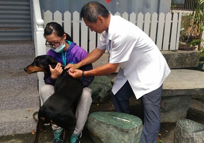愛護寵物健康  中市10月份疫苗及晶片巡迴注射10/3開跑