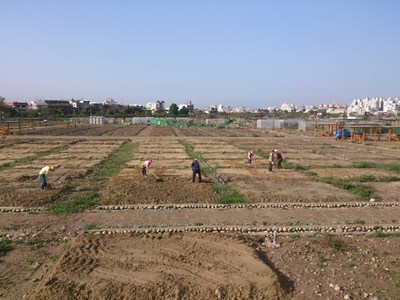 城市農夫正夯 農業局規劃第三期體驗農園搶先登記中