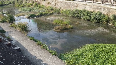 黎明溝疑遭餐飲業者排放廢水 市府已展開追查